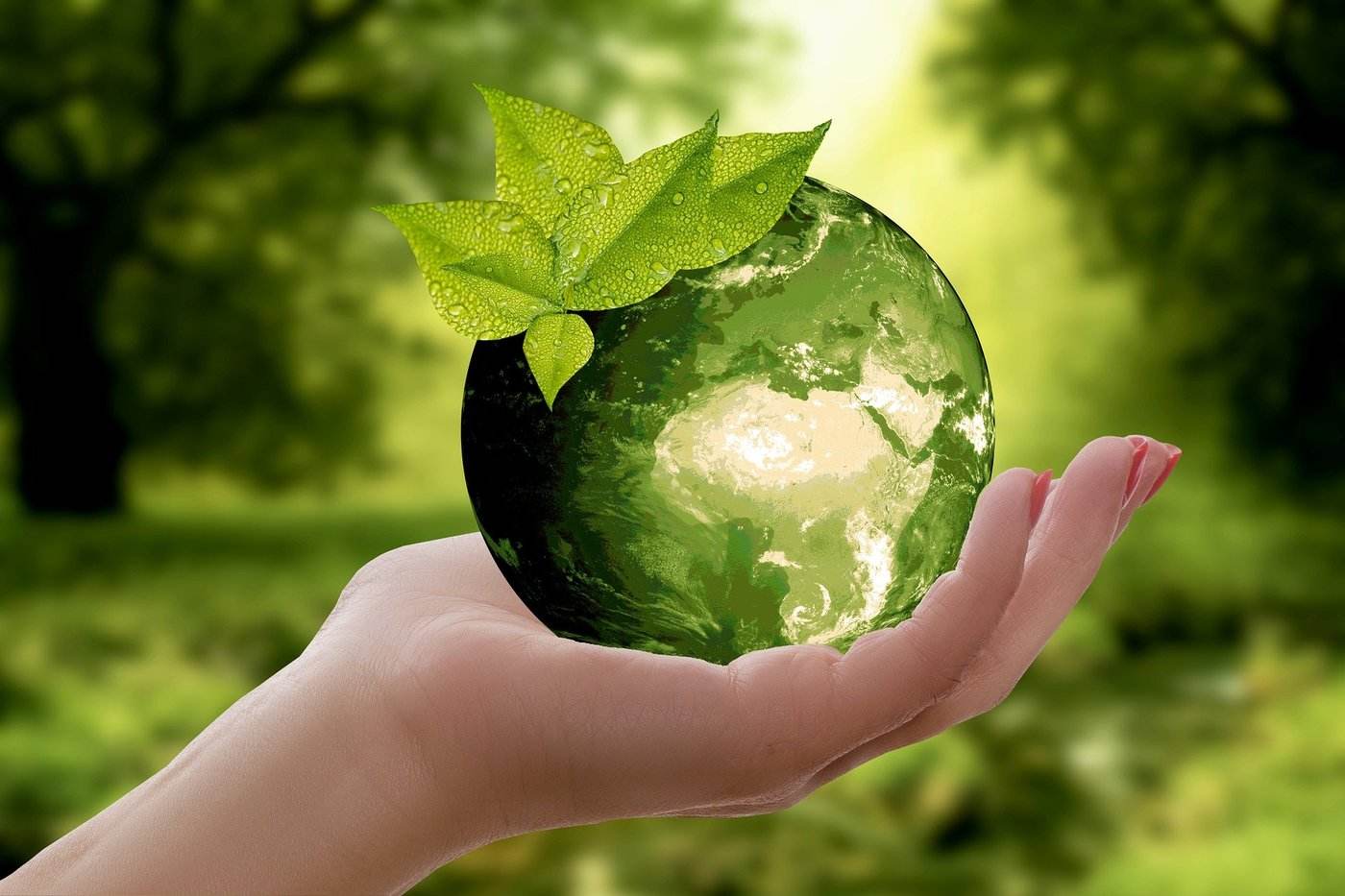 Ecological organic biodegradable